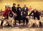 RBIS Southern English Setter Society 2000. Gained her title on the day.